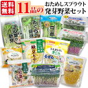発芽 野菜セット スプラウト お試し 11品 機能性表示食品 子大豆もやし 豆苗 ブロッコリー 新芽 もやしレモン アルファルファ 赤ラディッシュ 空心菜 おくら 有機野菜ミックス 緑豆もやし かいわれ 送料無料 ミールキット カット野菜 野菜ギフト ソイ プロテイン sprout GN