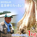 鳥取県産 特別栽培 田中さんの北条砂丘らっきょう1kg(根付き土付き らくだらっきょう 国産) らっきょう 鳥取 お取り寄せ 送料無料