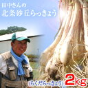 鳥取県産 特別栽培 田中さんの北条砂丘らっきょう2kg(根付き土付き らくだらっきょう 国産) らっきょう 鳥取 お取り寄せ 送料無料