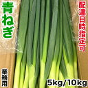 青ねぎ 業務用 5kg S/Mサイズ|日付指定&定期購入可|中国産 青ネギ|太くて長さが均一で扱いやすい青葱・業務用調理に最適|鮮度優先の一貫管理体制|安心・安全・安定供給|飲食店様応援価格|四季の広場厳選食材・まとめ買いにおすすめ|国内検品・冷蔵便発送