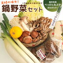 秋・冬野菜セット【しらたきプレゼント】お家でマルシェ!鍋 野菜 福井産べっぴんねぶか(白ねぎ)入り!おまかせ厳選 鍋野菜セット5品以上 約3Kg入り 白菜 ねぎ きのこ 福井 越前 【主婦の味方鍋企画】送料無料 水炊き・すき焼き・キムチ鍋・鍋料理
