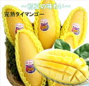 【完熟タイマンゴー】約3K入りたっぷり! 送料無料 トロピカルフルーツ 輸入果実