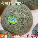 【送料無料】 熊本県産 タカミメロン 秀品 M～Lサイズ 6～7玉入 (箱)