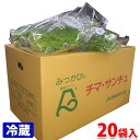 【送料無料】静岡県産 チマ・サンチュ Lサイズ 20袋入 1箱(約2kg)
