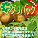 【クール便】アグリパックC(青森 アグリメイト南郷)無農薬野菜セット 自然農法野菜詰め合わせパック