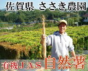 【家庭用】自然薯 約2kg(3～6本) 有機JAS (佐賀県 ささき農園) 産地直送