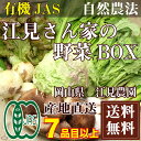 [クール便無料] 江見さん家の野菜BOX 自然農法 有機JAS (岡山県 江見農園) 産地直送