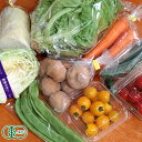 【10月中はP10倍!要エントリー】せっちゃんの有機野菜セット 野菜セット お取り寄せ 有機JAS 有機野菜 セット 野菜 詰め合わせ (青森県 あおぞら農園) 産地直送