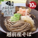 【最短当日出荷】秋 手土産 ギフト 贈り物 お返し 福井県産そば粉使用!「越前産そば10食」年間48,758食完売!甘みが断然違う極上蕎麦 越前そば 武生製麺 ギフト お返し 越前そばの里 生そば 挽きぐるみ 内祝い