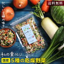 【送料無料】乾燥野菜 国産 私の楽ベジ 100g 5種の国産野菜 ドライ野菜 干し野菜 乾燥野菜ミックス | 乾燥大根 乾燥玉ねぎ 乾燥小松菜 乾燥にんじん 乾燥キャベツ みそ汁の具 カット野菜 常備菜 簡単 時短調理 野菜たっぷり 保存食 非常食 ローリングストック 野菜約1kg分