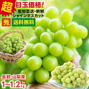 【即日発送中】楽天グルメ大賞受賞! シャインマスカット 秀品 1kg 1.2kg 2房 ぶどう 送料無料 山梨 長野産 産地厳選 皮ごと食べられる 種なし 1房あたり約500~600g ブドウ | 高糖度 シャイン マスカット 甘い 果物 ギフト プレゼント のし 贈答 旬の味覚 フルーツ 2025
