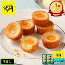 お菓子 ギフト【バターガレット9個入】個包装 スイーツ ガレット 焼き菓子 洋菓子 内祝い お祝い 出産祝い お礼 可愛い おしゃれ 職場 退職 菓子折り ご挨拶 手土産 人気 おすすめ おかし プレゼント バターバトラー