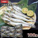 100尾【お徳用】大型子持ちカラフトシシャモ (10尾×10パック)