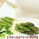アスパラガス グリーン 秀品 Mサイズ800g 北海道富良野産 『生で食べれるアスパラ』【ご予約販売】