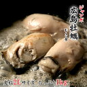 ジャンボ広島牡蠣(かき)[冷凍] 1kgパック(2Lサイズ)(30-40粒程度)【送料無料】牡蠣 カキ