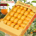 柿 かき 庄内柿 種なし約5kg サイズ未定(25-40玉前後)庄内 訳あり 柿 かき カキ 種なし 種無し柿 産直 山形 フルーツ 果物 ふるーつ くだもの お取り寄せ ご当地 名産品 特産品