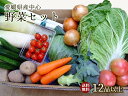 送料無料【愛媛産、四国・九州産野菜】お好み・お任せ♪季節の野菜セット12品以上