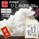 ★新米 令和7年産 本場 宮城県産 ひとめぼれ 30kg 玄米 5分づき 7分づき 精白米 (精米時重量約1割減) 送料無料 【白米 ヒトメボレ お米 ごはん ご飯 精米 産地直送 米処 美味しい おこめ こめ】