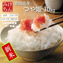 ★新米 令和7年産 本場 宮城県産 つや姫 30kg 玄米 5分づき 7分づき 精白米 (精米時重量約1割減27kg) 送料無料 期間限定ご試食価格 【白米 ツヤヒメ ツヤ姫 艶姫 お米 ごはん ご飯 精米 産地直送 米処 美味しい おこめ こめ】