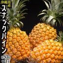 「スナックパイン」沖縄県産パイナップル 約500g×3玉 計約1.5kg ※常温 送料無料