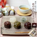 ハロウィンラッピング 対応中 京都 鶴屋光信 和菓子 ギフト 木箱入り 羊羹 ようかん 秋の詰合せギフト 雅 木箱 栗羊羹 栗ようかん 抹茶羊羹 大和つぶ羊羹 抹茶 柚子 各2個