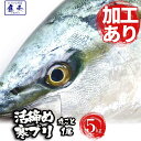 【加工あり まるごと1尾 約5kg】ぶり ブリ 鰤 寒ブリ 鹿児島 大分産 お刺身用 嫁ぶり チルド ぶりしゃぶ ぶり照り 【注意】北海道沖縄は追加送料を997円加算しご請求いたします。 お歳暮 2025 ギフト 海鮮 魚 魚介類 御歳暮 おせいぼ
