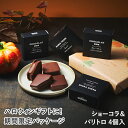 ショーコラ&パリトロ4個入 チョコレート 横浜 バニラビーンズ | チョコサンド チョコ 洋菓子 お菓子 高級 チョコレートギフト ギフト おしゃれ 個包装 詰め合わせ お取り寄せ スイーツ プレゼント プチギフト 2025 ハロウィン