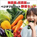 無農薬と低農薬だけ!野菜 詰め合わせセット 10~12種類 新鮮 今が旬 オーガニック ギフト ほうれん草 トマト きゅうり じゃがいも 玉ねぎ にんじん 北海道 九州 送料無料 国産野菜 健康 減農薬 旬の野菜 野菜セット 一人暮らし