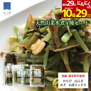 【29日全品対象!229円引きクーポン&ポイント10倍】山菜 水煮 4種セット 秋田 国産 山菜ミックス ふき わらび みず 山ふき 国産山菜 秋田県産 天然 天然山菜 山菜水煮 保存料不使用 着色料不使用 山の幸 ポイント消化 買いまわり メール便 送料無料
