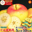 【予約】早割最大299円引きクーポン★青森 りんご ぐんま名月 10kg・5kg箱から選べる ご家庭用/訳あり【送料無料】旬シリーズ【青森 リンゴ 林檎 訳あり お試し 名月 10キロ箱 自宅用 家庭用 果物 フルーツ 人気 売れ筋】【4180円~】★選べる重量 名月 家訳