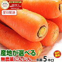 大豊作セール★無農薬 にんじん 5kg 産地が選べる【クール便対応】無農薬 無化学肥料栽培 訳あり 無農薬 にんじん 5キロジュース用 酵素 にんじん 5キロにんじん 無農薬 5kg無農薬人参 5kg税込1320円~