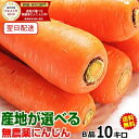大豊作セール★無農薬にんじん 10kg 産地が選べる【クール便対応】無農薬 無化学肥料栽培 訳あり 無農薬にんじん 10キロジュース用 酵素 にんじん 10キロにんじん 無農薬 10kg【無農薬人参 10kg税込2380円~