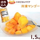 冷凍フルーツ 業務用 冷凍マンゴー 送料無料 冷凍マンゴー 500g×3袋 1.5kg 冷凍 トロピカルマリア マンゴー スムージー ジュース アップルマンゴー マンゴージュース