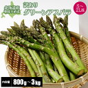 【2026年度収穫 予約】 北海道産 アスパラガス グリーンアスパラガス S〜2L混 800g/1kg/1.5kg/2kg/2.5kg/3kg 訳ありアスパラ 朝採り グリーンアスパラ 北海道 アスパラガス 産地直送 産直 春 旬 北海道 アスパラ 訳有 露地 格安